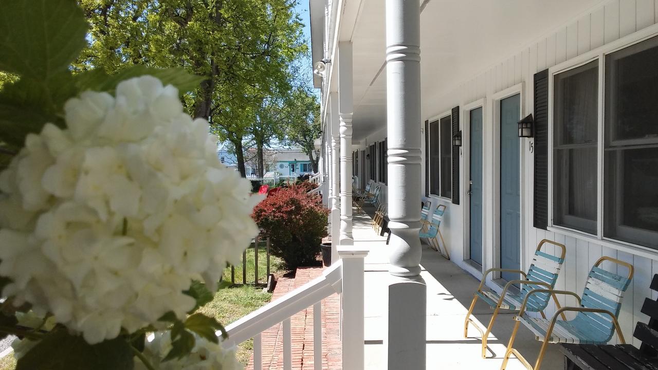 Sea Shell Motel 钦科蒂格 外观 照片